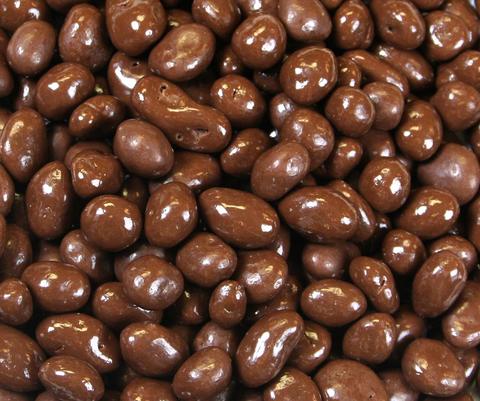 Chocolate Covered Raisins