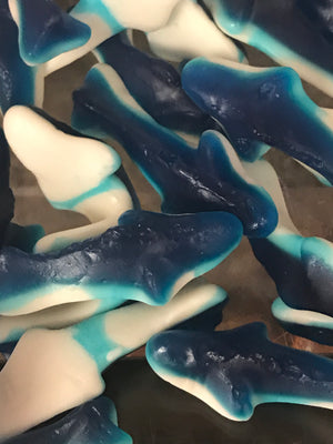 Large Gummy Sharks